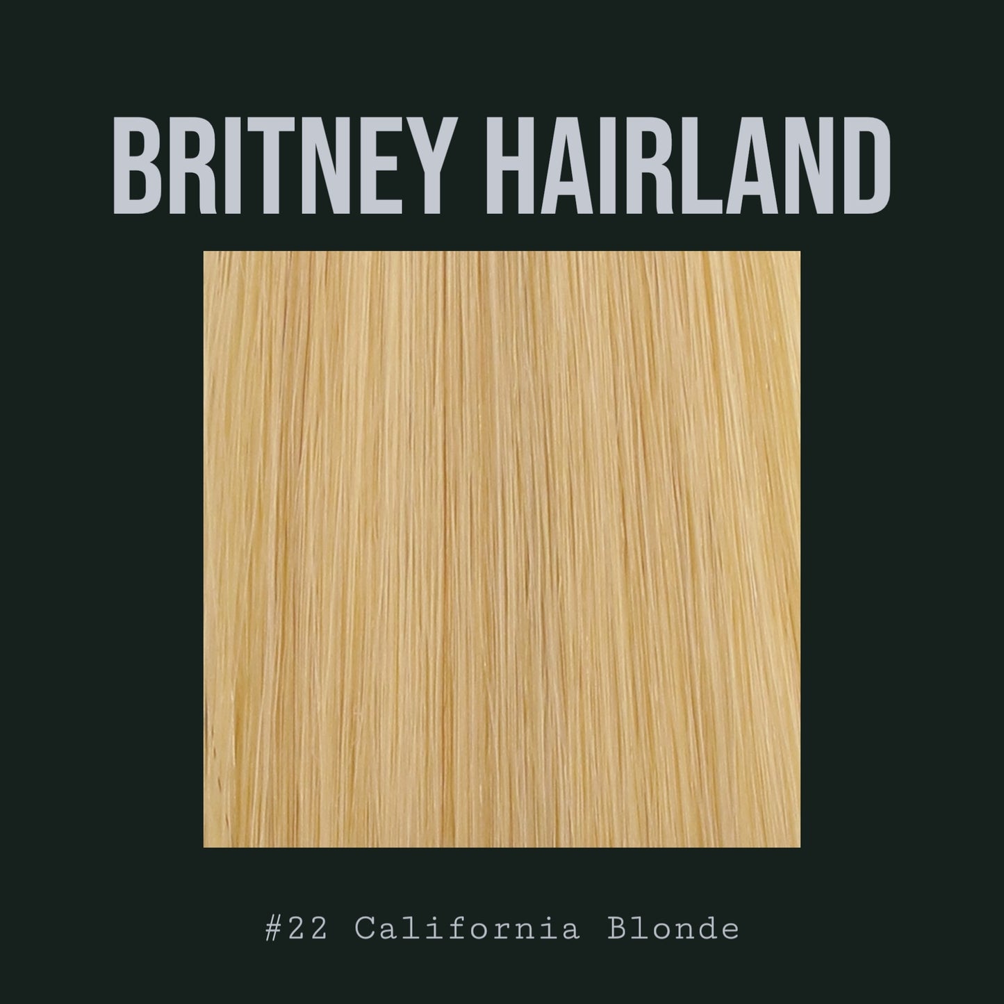 24” CALIFORNIA BLONDE HAIR EXTENSIONS U TIP