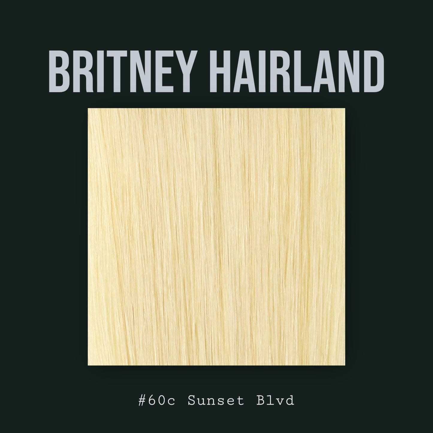 24” SUNSET BLVD HAIR EXTENSIONS U TIP