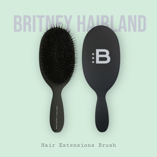 Hair Extensions Brush